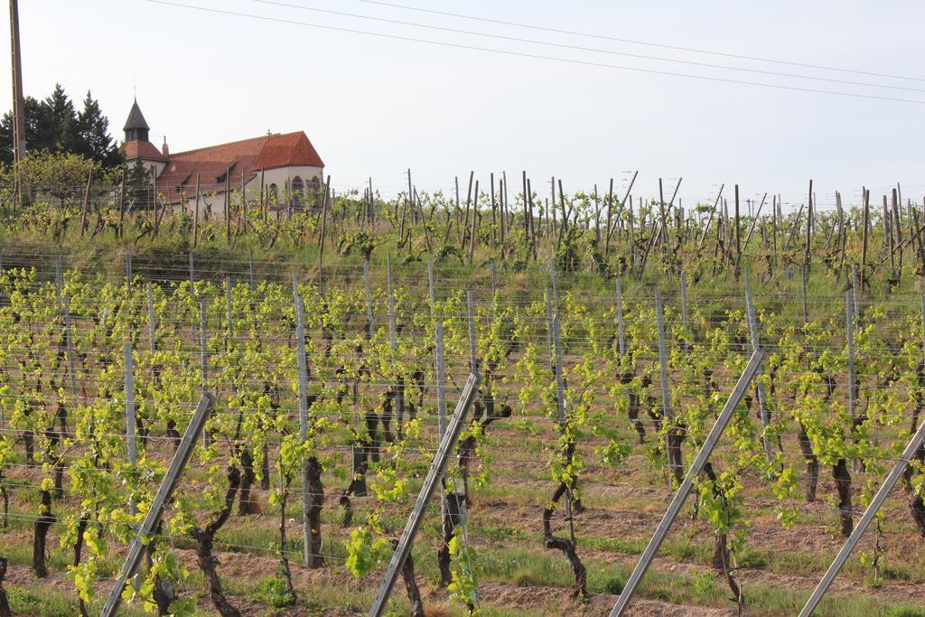 Gite De L'Ours Grognon Dambach-la-Ville Exterior photo